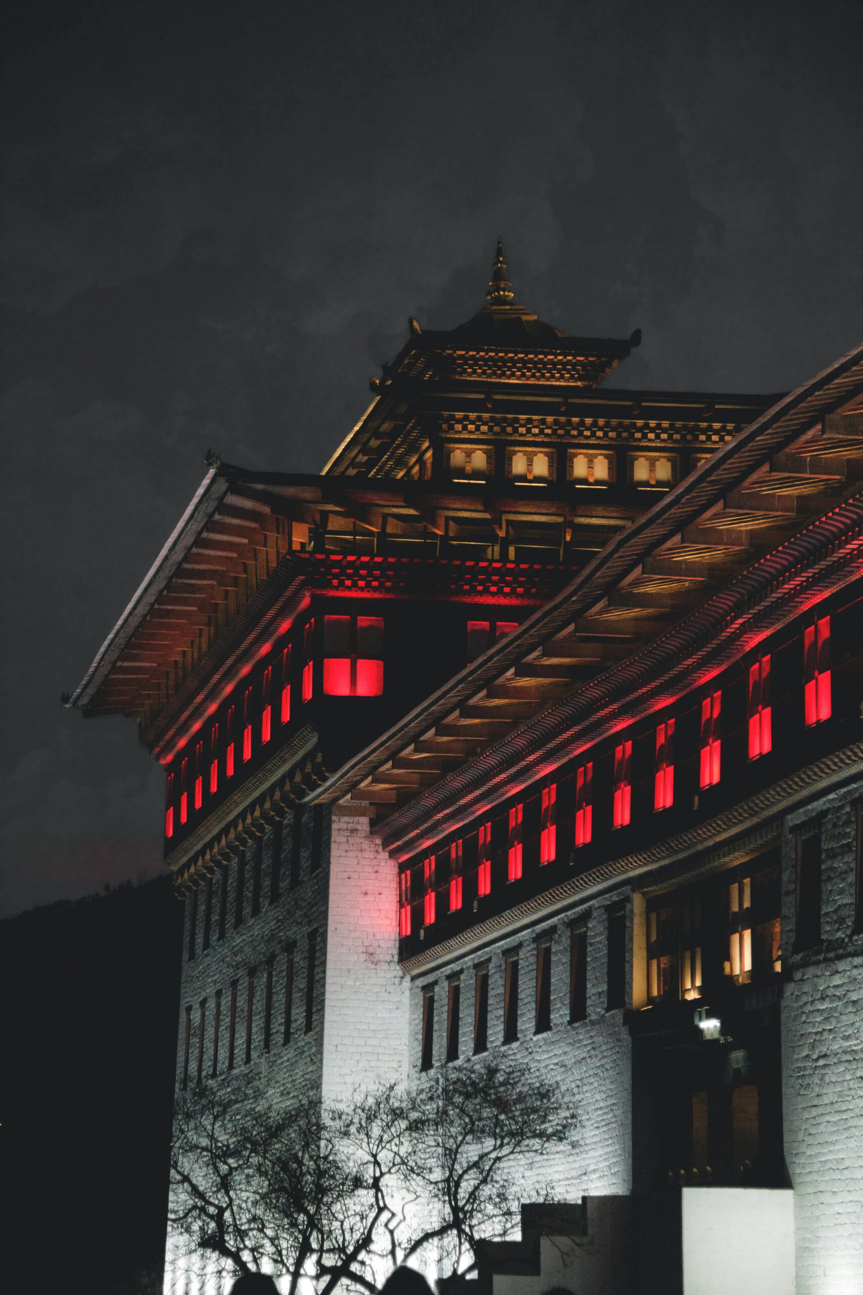 pexels setu r8 5728647